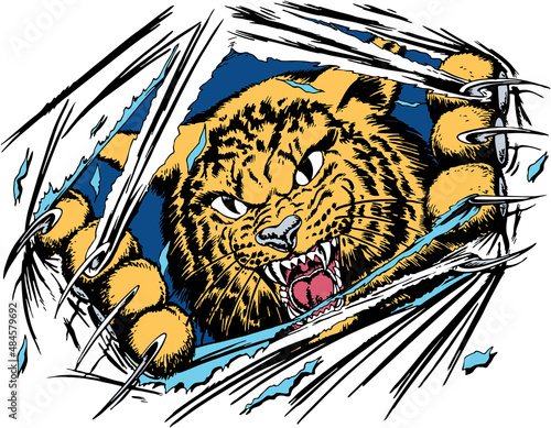 Wildcat Mascot Tearing Shirt Vector Illustration photo