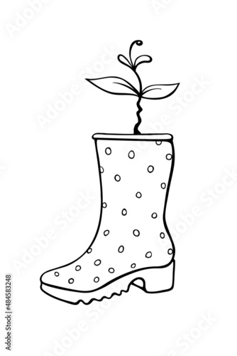 Vector outline rubber rain boot with plant sprout, seedlings. Cute seasonal spring gardening illustration. Shoes as pot. Design element, clip art in doodle style, isolated