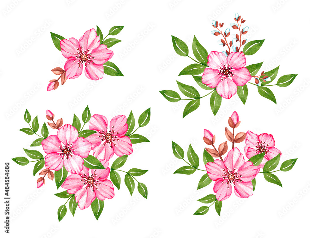 Watercolor cherry blossoms with leaves on a white background