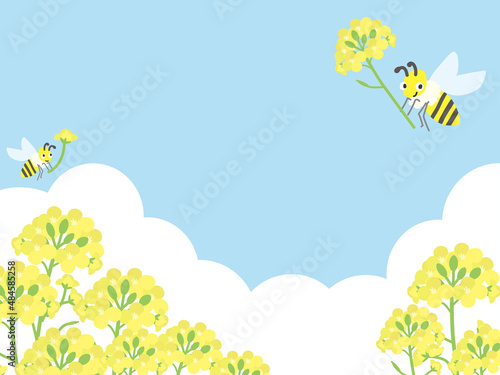 青空の下の菜の花畑とハチの背景