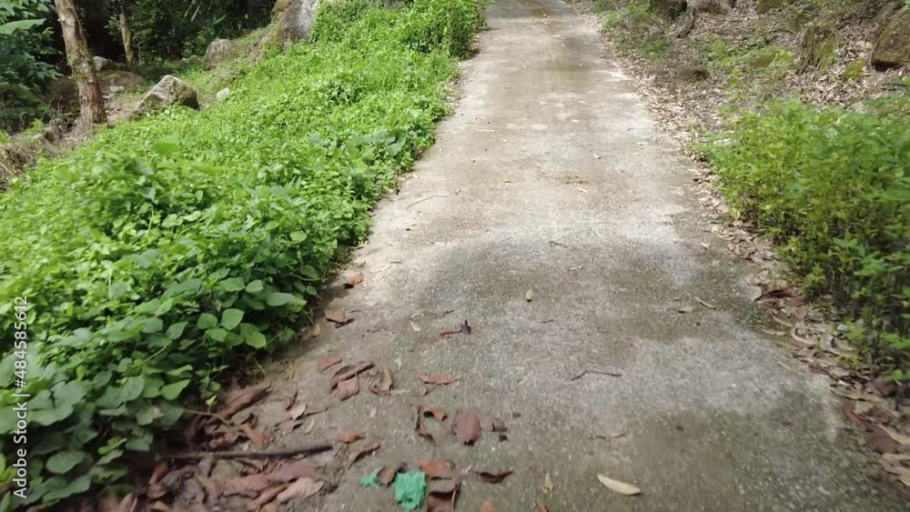 Ride at asphalt road go up the hill with banana and durian tree Ride at asphalt road go up the hill with banana and durian tree