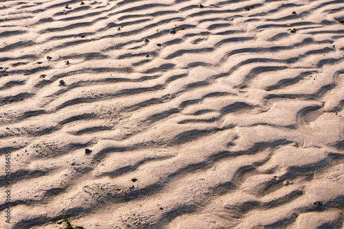 Warm sand texture. Abstract nature background for design.