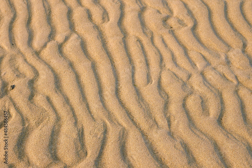 Warm sand texture. Abstract nature background for design.