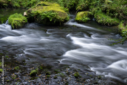 Die Kamnitz  wilder Fluss durch die B  mische Schweiz