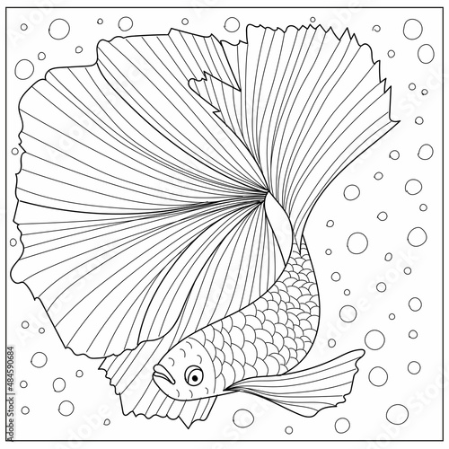 koi fish underwater coloring page. Hand drawn vector illustration.
