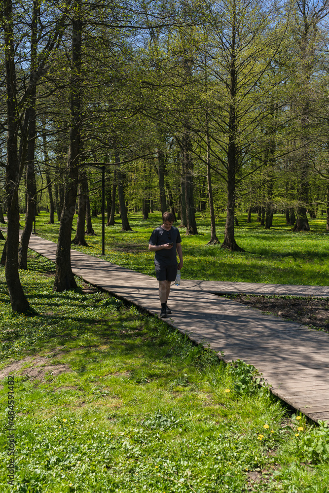 man is walking and looking into his smartphone in park man is walking and looking into his smartphone in park