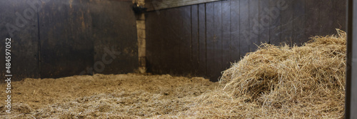 Empty stall in the stable with hay closeup photo