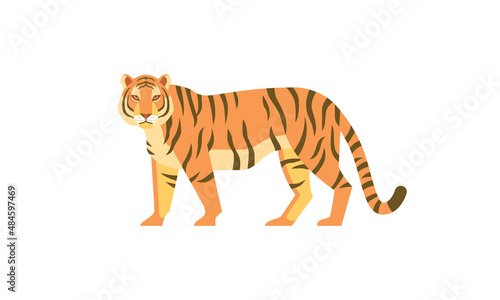 Tiger (Panthera tigris) side angle view. Asian wild animal with dark vertical stripes on orange fur, flat style vector illustration isolated on white background