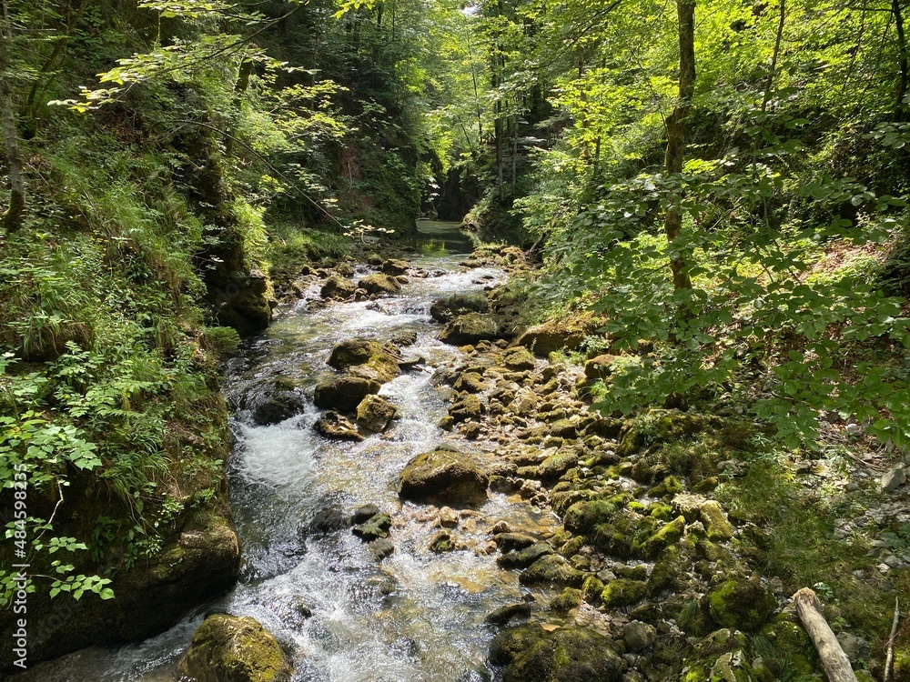 Protected landscape canyon of the river Kamacnik in Gorski kotar - Vrbovsko, Croatia (Zaštićeni krajolik kanjon rječice Kamačnik u Gorskom kotaru - Vrbovsko, Hrvatska)