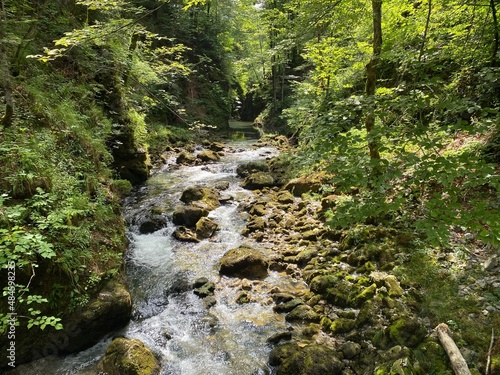 Protected landscape canyon of the river Kamacnik in Gorski kotar - Vrbovsko  Croatia  Za  ti  eni krajolik kanjon rje  ice Kama  nik u Gorskom kotaru - Vrbovsko  Hrvatska 