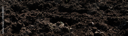 Freshly plowed and fertile soil texture shot in natural light. © To Studio
