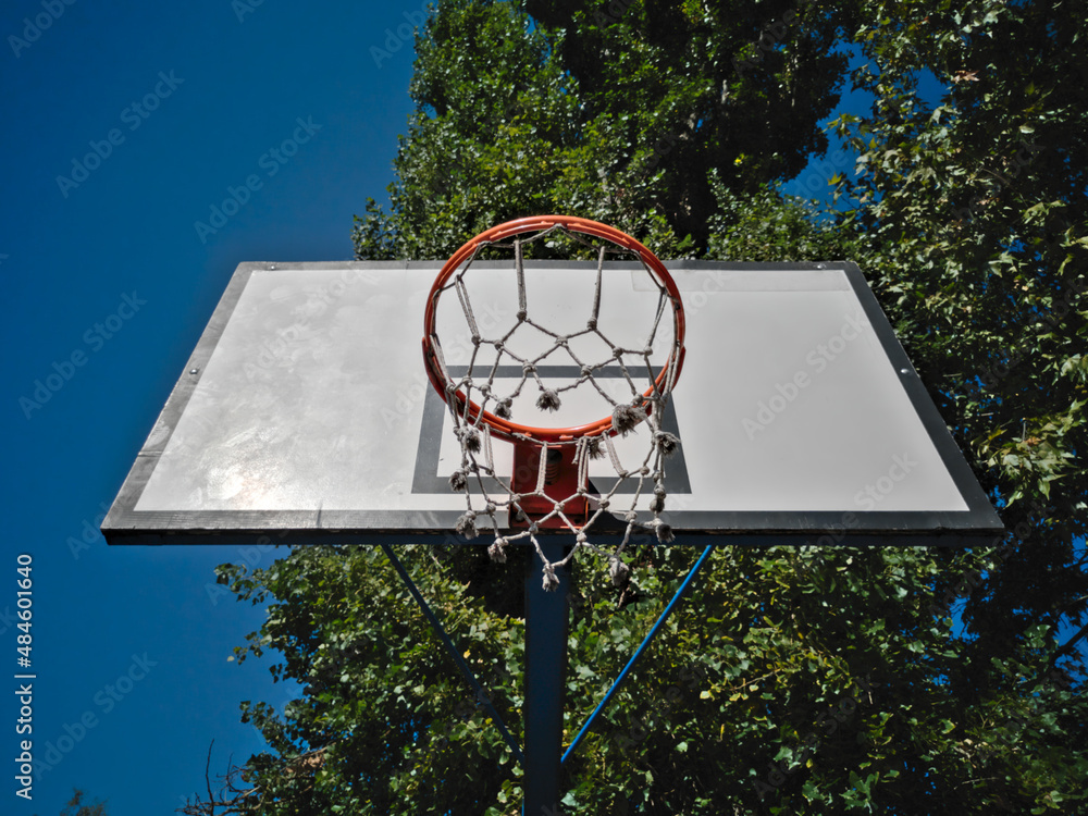 Red basketball hoop with a net on a white wooden backboard, the tree and te sky in the background. Low angle view Red basketball hoop with a net on a white wooden backboard, the tree and te sky in the background. Low angle view