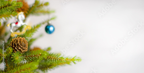 Christmas tree branch with cones with copyspace