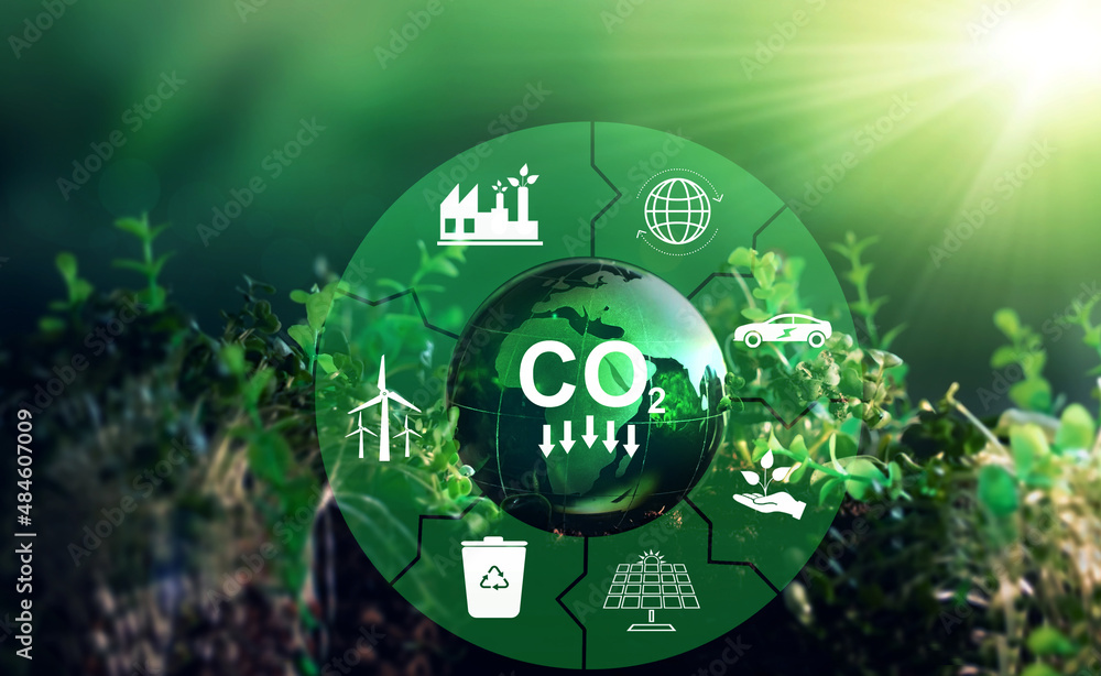 Sustainable development and  business based on renewable energy. Reduce CO2 emission concept. Renewable energy-based green businesses can limit climate change and global warming.  - obrazy, fototapety, plakaty 