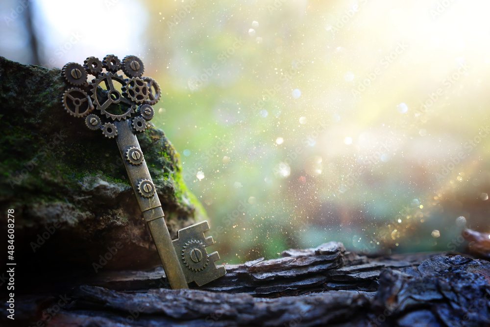 An ancient key on the stone with moss in the forest - obrazy, fototapety, plakaty 
