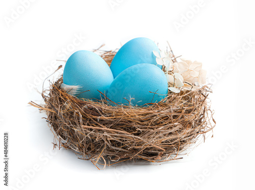 Three blue eggs in a nest isolated on a white background.
