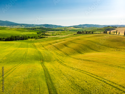 Stunning aerial view of yellow fields and farmlands with small villages on the horizon. Rural landscape of rolling hills  curved roads and cypresses of Tuscany  Italy.