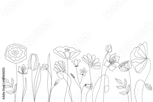 Silhouettes of wild flowers from simple lines on a white background. Design for logo, flyer, brand book