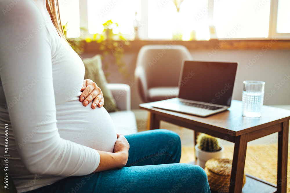Future attractive cheerful mum sitting in chair in bright light flat and using pc laptop while speaking with intelligent doctor about pregnancy. Future attractive cheerful mum sitting in chair in bright light flat and using pc laptop while speaking with intelligent doctor about pregnancy.