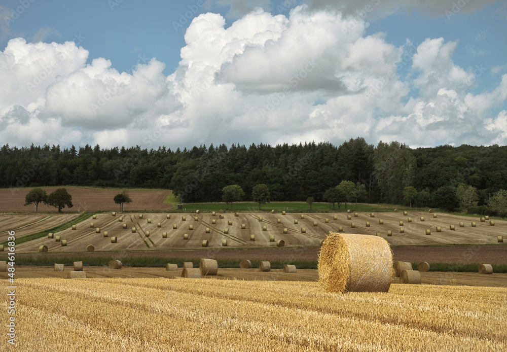Fototapeta premium Spätsommer nach der Ernte