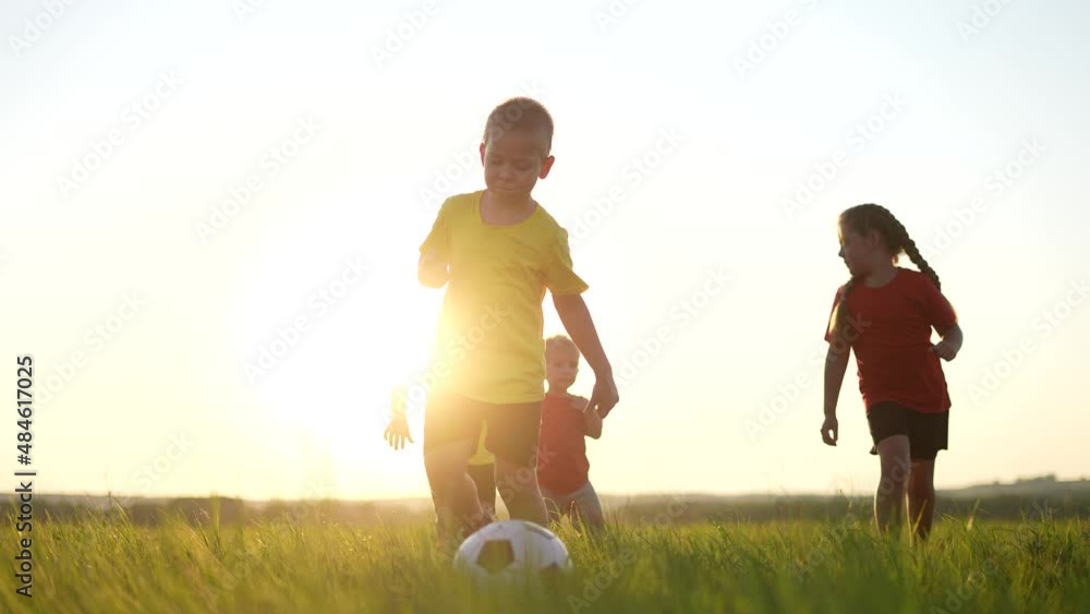 children playing ball in the park. happy family a kid run dream sunlight concept. children kick the ball in the park. happy family playing. kid play run ball in the summer park. dream happy childhood children playing ball in the park. happy family a kid run dream sunlight concept. children kick the ball in the park. happy family playing. kid play run ball in the summer park. dream happy childhood