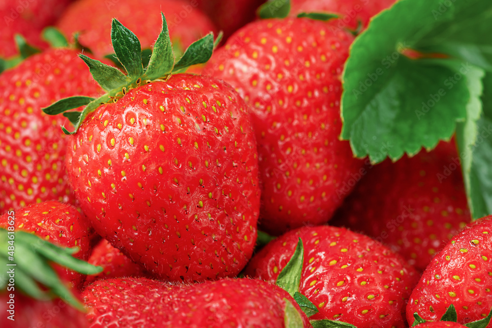 Summer background of fresh ripe strawberries. Close up Summer background of fresh ripe strawberries. Close up