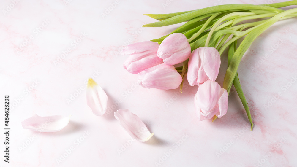 Spring pink tulip flowers and petals on light marble background. Spring pink tulip flowers and petals on light marble background.