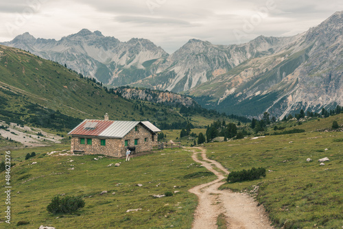 Mountainous landscape in Switzerland with cows and horses