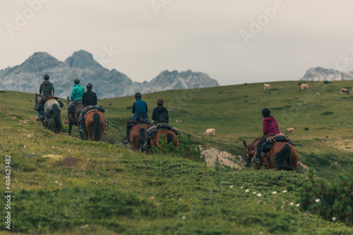 Mountainous landscape in Switzerland with cows and horses