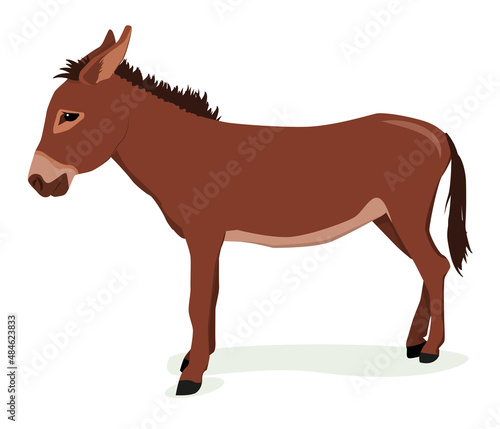 vector illustration of a brown donkey isolated on a white background