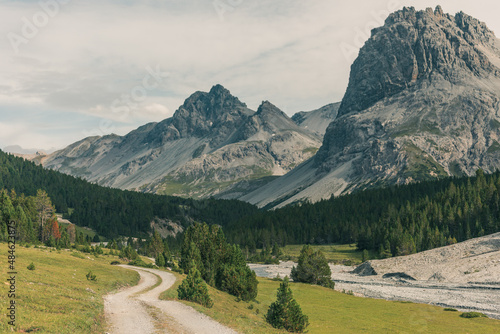 Mountainous landscape in Switzerland with cows and horses