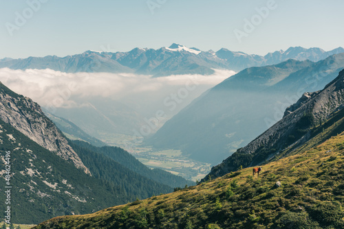 Mountainous landscape in Switzerland with cows and horses