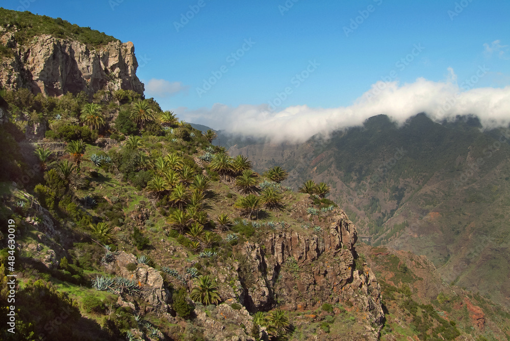 Rural landscape of La Gomera island on a sunny day.Canary Islands.