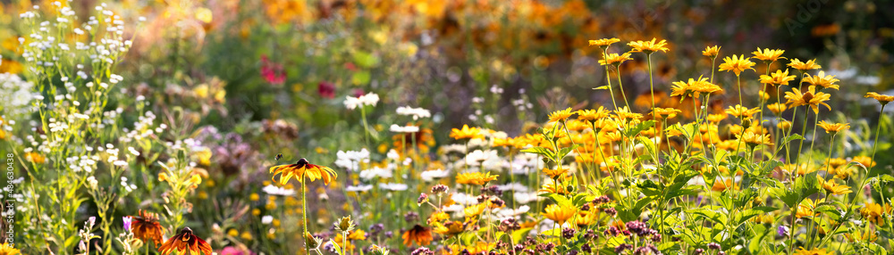 Blumengarten im Sonnenschein mit fliegender Erdhummel, Flowers in a Sunny Garden and a Flying Earth Bumblebee