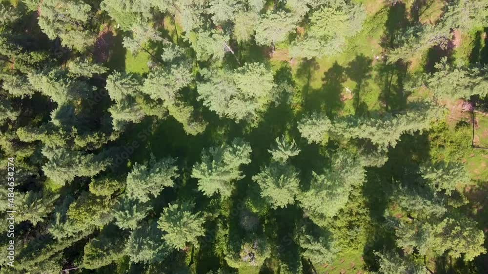 Arial shot of hill station in Murree Pakistan Arial shot of hill station in Murree Pakistan