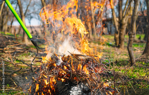 Φωτογραφία Garden waste burning in the yard