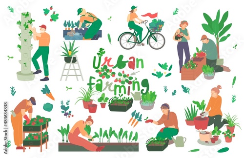Stampa su tela Urban farming, gardening