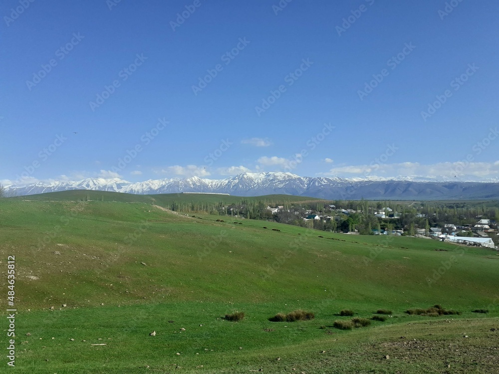 landscape with cows