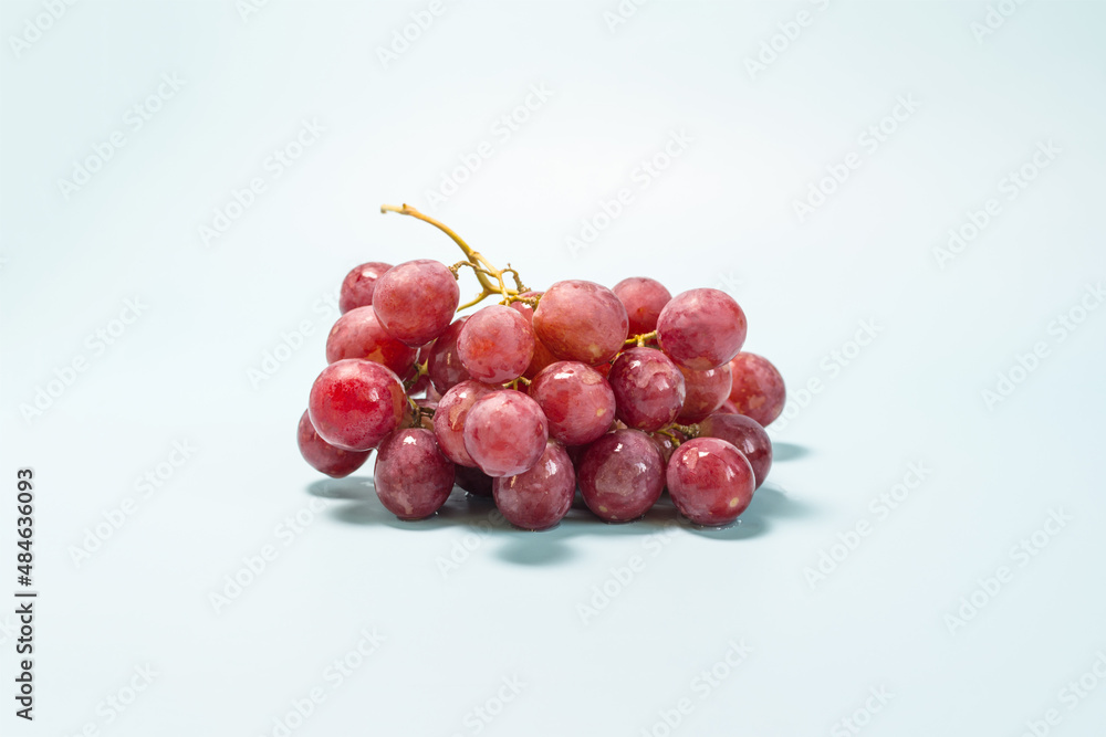 A branch of grapes with red berries on a light blue background close-up. A branch of grapes with red berries on a light blue background close-up.