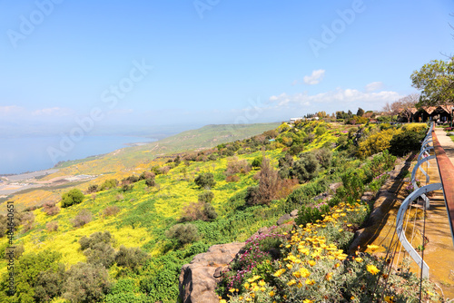 Beautiful wild flowering landscape on Kinneret. Galilee Sea or Tiberius lake distance view on sunny spring day. Banana plantations on the shore. View from Kfar Haruv, Israel  photo