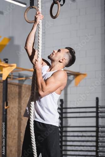 Side view of athletic sportsman climbing on rope in gym.