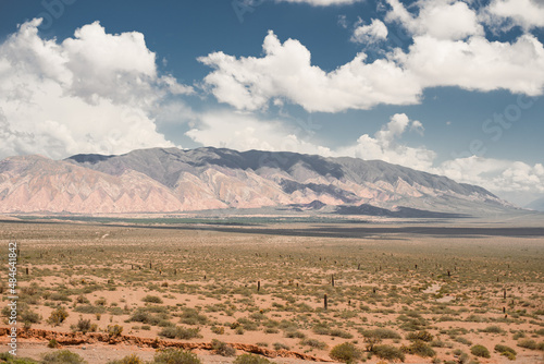 Cactus, cardones y montañas en el valle de Salta 