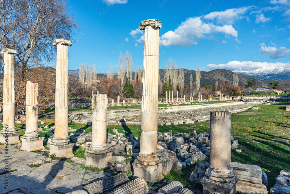 Afrodisias Ancient city swimming pool. (Aphrodisias) was named after Aphrodite, the Greek goddess of love. The UNESCO World Heritage. Aydın, Turkey.