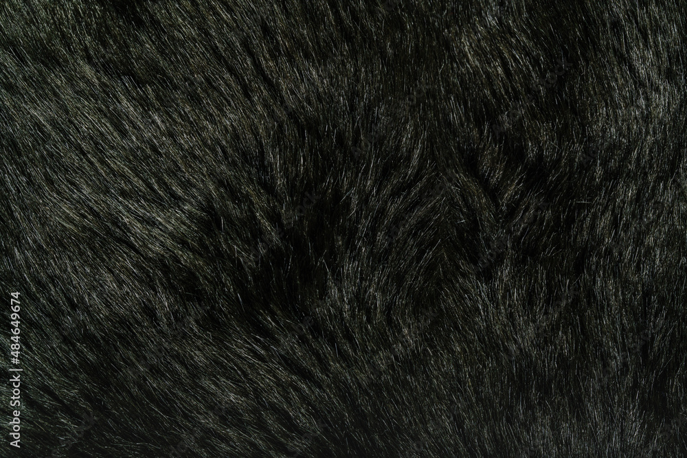Fototapeta premium faux fur texture closeup