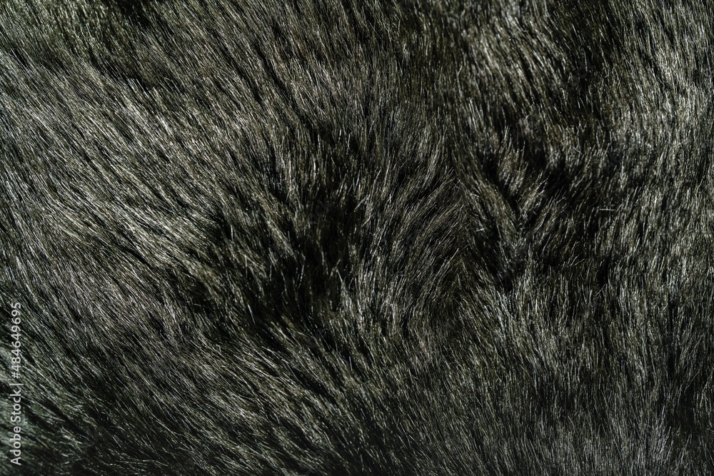 Fototapeta premium faux fur texture closeup