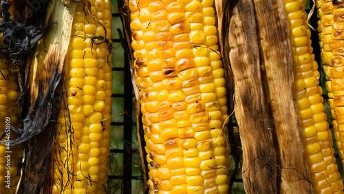 Hot grilled corn with salt