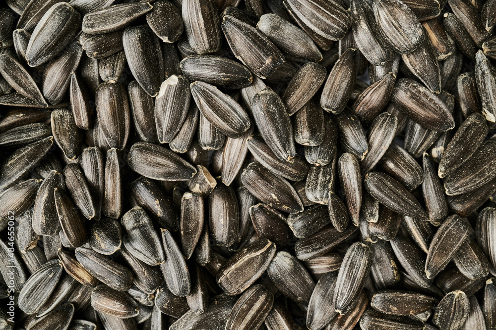 sunflower seeds background