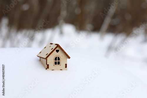 Wooden house model in a snow on winter forest background. Concept of country cottage, real estate in ecologically clean area © Oleg