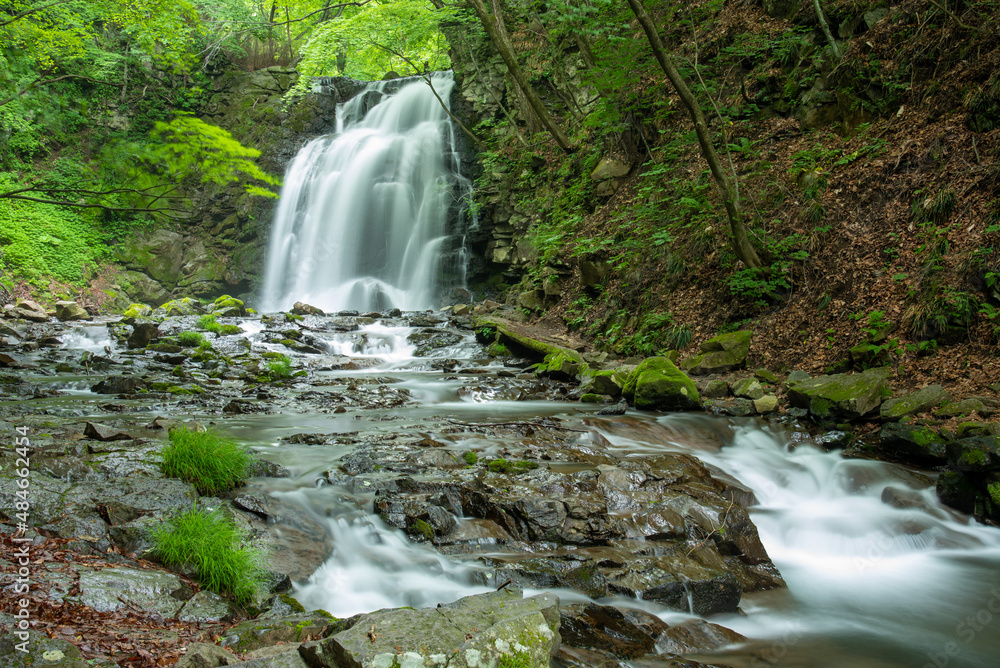 Fototapeta premium 滝