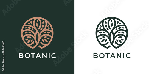 Circle Tree of Life logo icon. Abstract nature branch with leaves business sign. Round garden plant natural line symbol. Vector illustration.